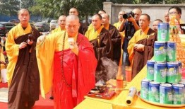 网友爆料少林寺视频播放,网友爆料视频揭秘千年古刹